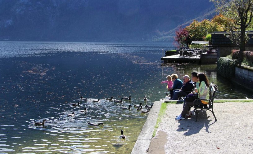 Люди в Австрии сидят у озера